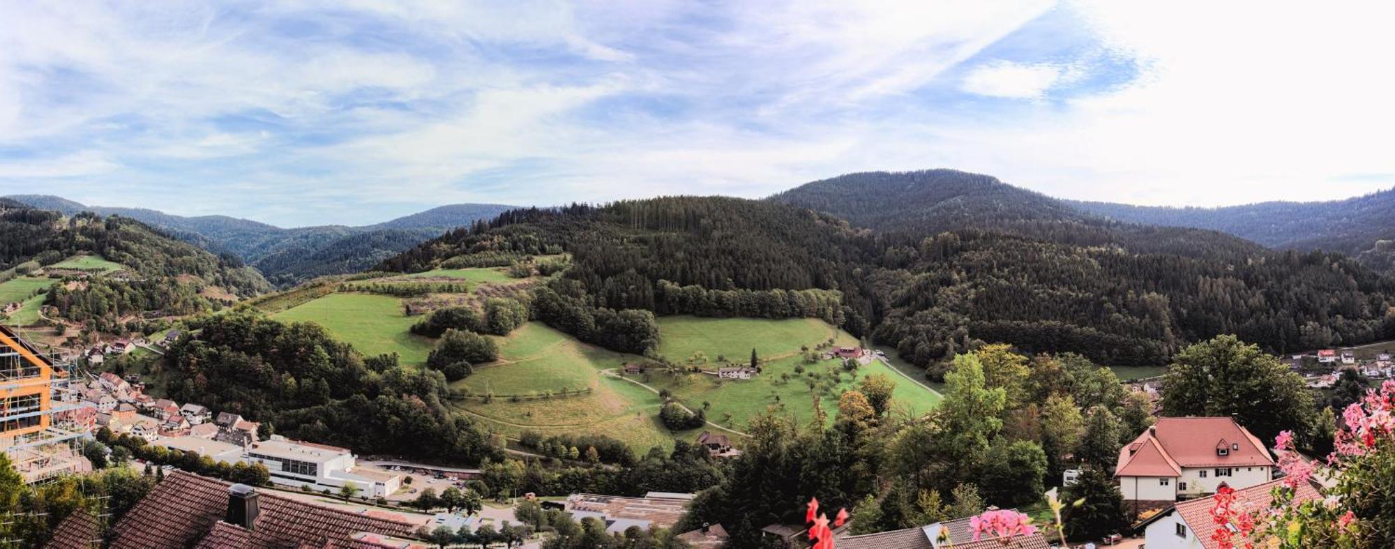 Hotel Schauinsland Bad Peterstal-Griesbach Exterior photo